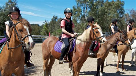 Merselo Equestrian Park 